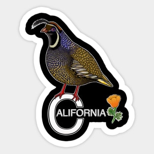 California quail state bird Californian poppy flowers Sticker